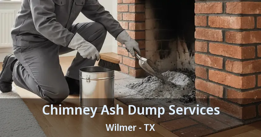 Chimney Ash Dump Services Wilmer - TX