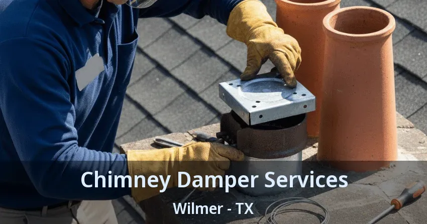 Chimney Damper Services Wilmer - TX