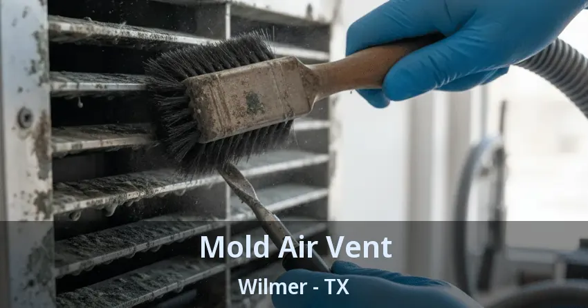 Mold Air Vent Wilmer - TX