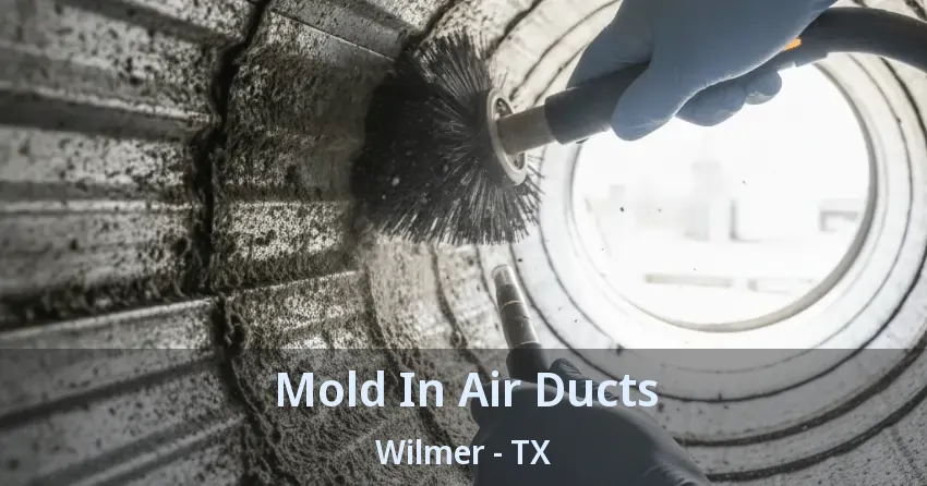 Mold In Air Ducts Wilmer - TX