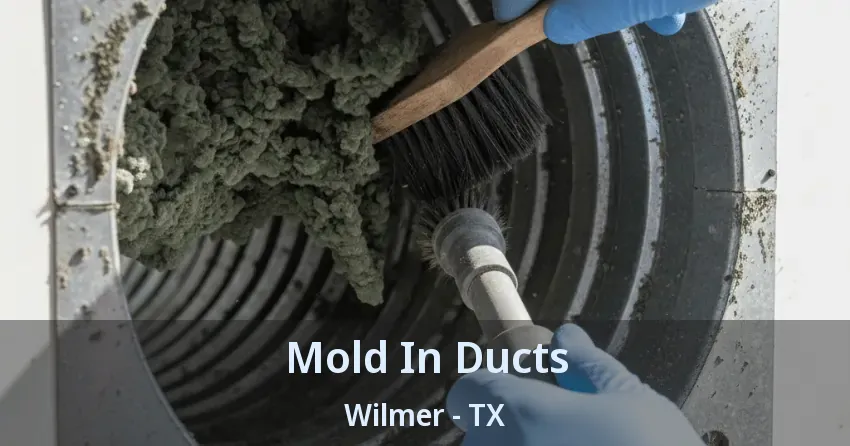 Mold In Ducts Wilmer - TX