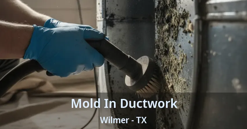 Mold In Ductwork Wilmer - TX