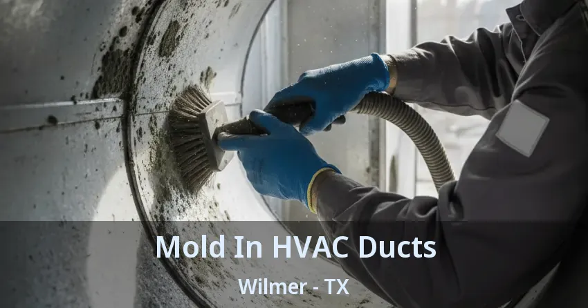 Mold In HVAC Ducts Wilmer - TX