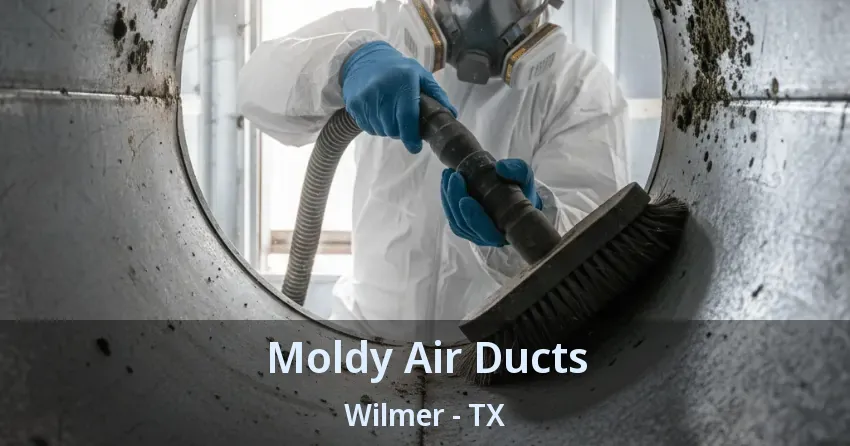 Moldy Air Ducts Wilmer - TX
